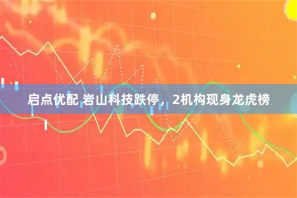 启点优配 岩山科技跌停，2机构现身龙虎榜