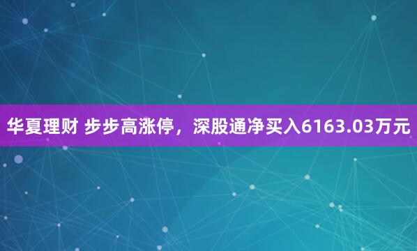 华夏理财 步步高涨停，深股通净买入6163.03万元