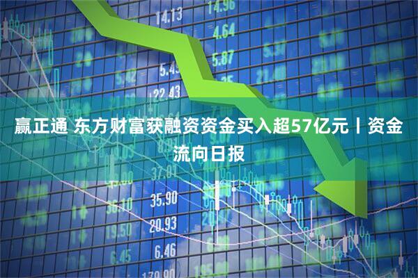 赢正通 东方财富获融资资金买入超57亿元丨资金流向日报