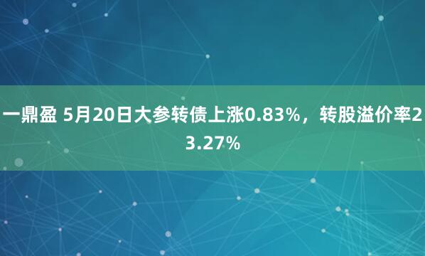 一鼎盈 5月20日大参转债上涨0.83%，转股溢价率23.27%