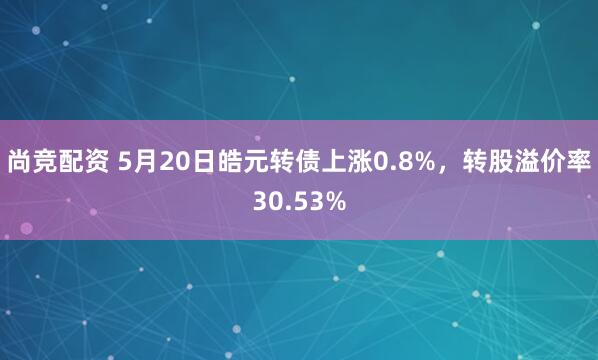 尚竞配资 5月20日皓元转债上涨0.8%，转股溢价率30.53%