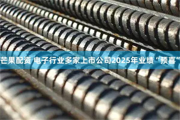 芒果配资 电子行业多家上市公司2025年业绩“预喜”