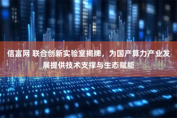 信富网 联合创新实验室揭牌，为国产算力产业发展提供技术支撑与生态赋能