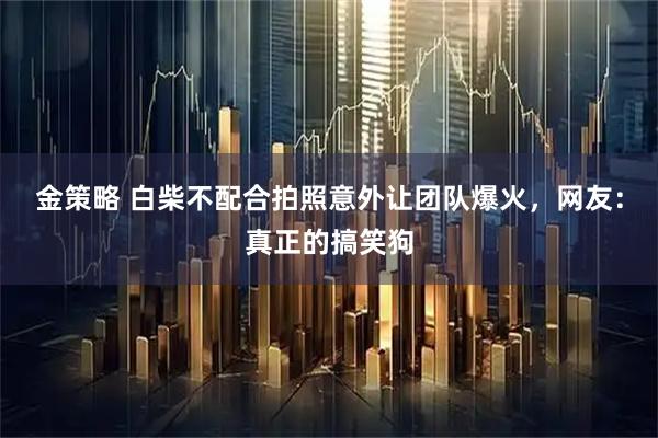 金策略 白柴不配合拍照意外让团队爆火，网友：真正的搞笑狗