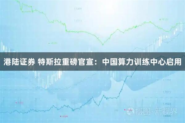 港陆证券 特斯拉重磅官宣：中国算力训练中心启用