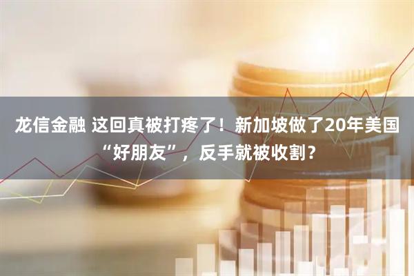 龙信金融 这回真被打疼了！新加坡做了20年美国“好朋友”，反手就被收割？