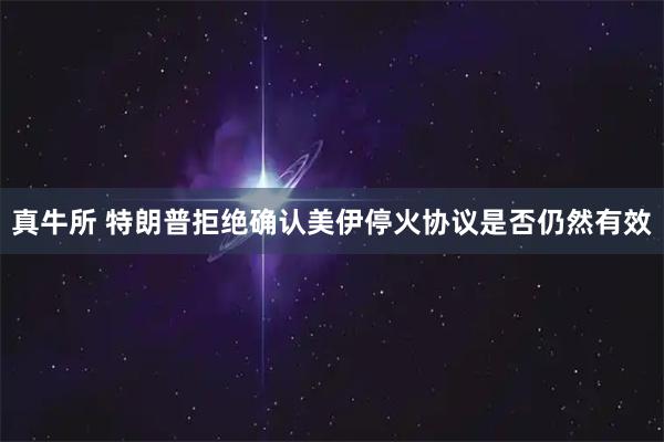 真牛所 特朗普拒绝确认美伊停火协议是否仍然有效